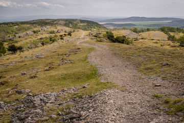 Whitbarrow is a hill in Cumbria, England. Designated a biological Site of Special Scientific Interest and national nature reserve, it forms part of the Morecambe Bay Pavements