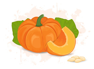 Pumpkin Vector