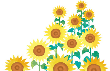 夏の花ひまわりのベクターイラスト