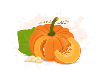 pumpkin vector illustration with pumpkin leaves