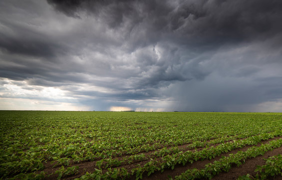 Rain Farming Images – Browse 178,268 Stock Photos, Vectors, and Video |  Adobe Stock