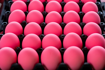 close up pink  Eggs in tray