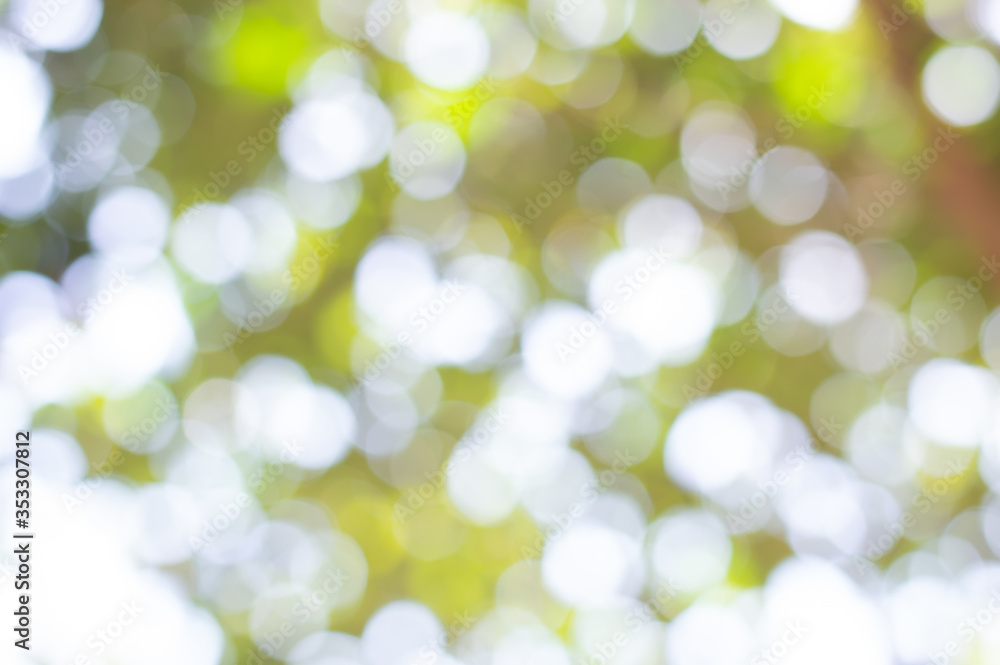 Wall mural natural bokeh abstract pattern background.