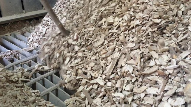 pile of wood tapioca and cassava pieces is pouring to intake 