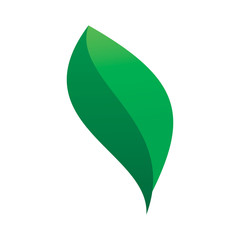 modern leaf nature logo design