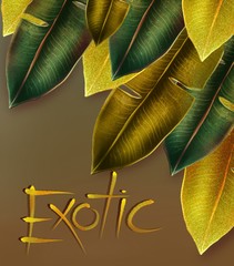 Digital illustration with tropical leaves in the upper right corner and the inscription exotic. Drawing in Golden-ochre tones.