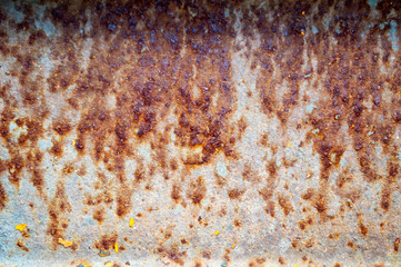 rusty on white steel background