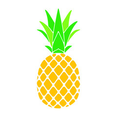Pineapple Vector Illustration Design Tropical Fruit