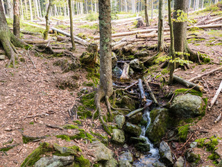 waterfall on a small creekin the forest