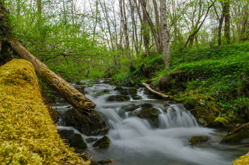 Kaskady na potoku Hulski Bieszczady