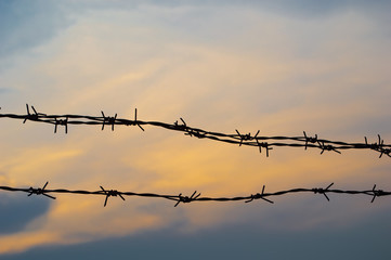 Fototapeta na wymiar silhouette barbed wire on sunset background