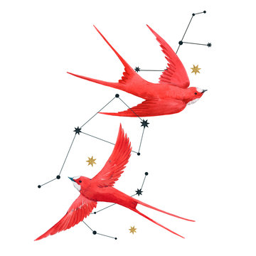 Beautiful composition with two watercolor red swallow birds and stars. Stock illustration.