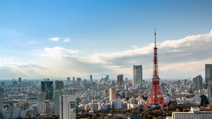 Obraz premium Panorama view of Tokyo tower, landmark of Japan