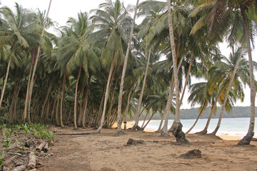 A partial view of the Grande beach on the north coast of island of Príncipe, São Tomé and...