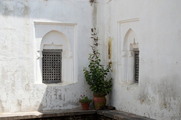 Fototapeta na wymiar Windows and Plants in Kathmandu, Nepal, with White Walls