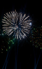 Colorful fireworks on the black sky background.