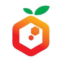 full color hexagon fruit orange logo design