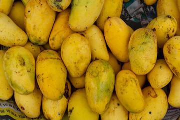 close up yellow mango ripe in thai market