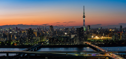 panoramic city skyline aerial night view  in Tokyo, Japan