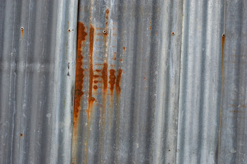 zinc corrugate fence  and rusty