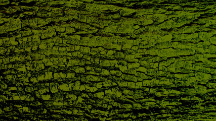 abstract green background
