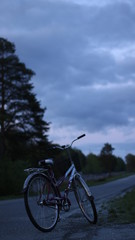 Fototapeta na wymiar a bicycle parked at the side of the road in lilac twilight on a blurred background of a forest or park