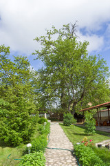 Obraz premium Church of Reverend Stoyna at Zlatolist Village, Bulgaria