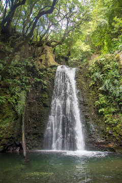 walk and discover the prego salto waterfall on the island of sao miguel, azores © seb hovaguimian