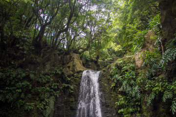 walk and discover the prego salto waterfall on the island of sao miguel, azores