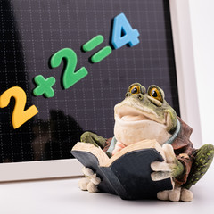 2 + 2 = 4 is written on the blackboard. Figure of a frog with a book.