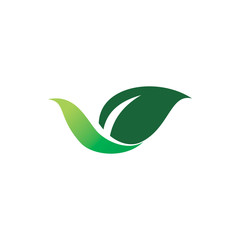green nature leaf letter v motion smooth logo design