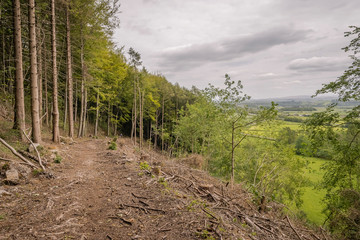 Whitbarrow is a hill in Cumbria, England. Designated a biological Site of Special Scientific Interest and national nature reserve, it forms part of the Morecambe Bay Pavements