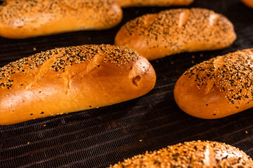 Bread. Bread production line. Bread on the conveyor. bakery