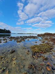 beach and rocks in Waiheke Island, New Zealand