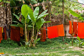 offerings for the Buddha’s Preachment Commemoration Ceremony in SiemReap