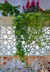 decorative walls in a restaurant