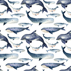 Watercolor whales seamless pattern on the white background. Animal watercolor silhouette sketch. Hand draw art illustration.Graphic for fabric,tee-shirt, postcard, greeting card, book, poster, sticker