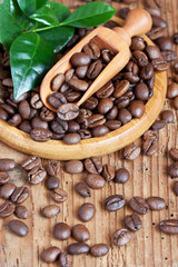 Roasted coffee beans with green leaves