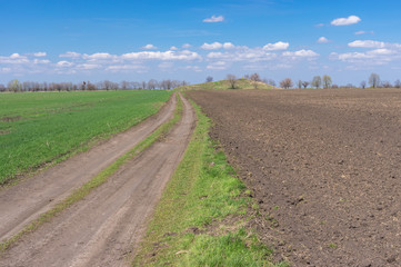 Fototapeta na wymiar Spring landscape with an earth road leading to an ancient burial mound burial mound between agricultural winter crops fields near Dnipro city in central Ukraine