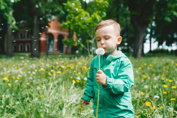 Little boy with dandelion outdoors at sunny summer day.