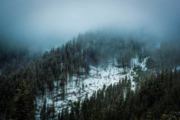 Badkamer foto achterwand Mistig bos Misty Forest