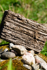 Fototapeta premium Driftwood/aged wood over green grass background. Old piece of driftwood top view. Driftwood stick closeup, wood texture for aquarium.