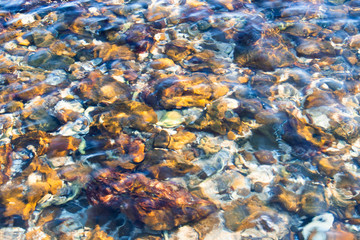 coral reef and rock in the ocean
