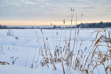 View from the shore of a river or lake, when the water is covered with ice powdered with snow. Morning or evening winter landscape