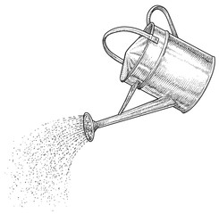 Watering can illustration, drawing, engraving, ink, line art, vector - 353325030