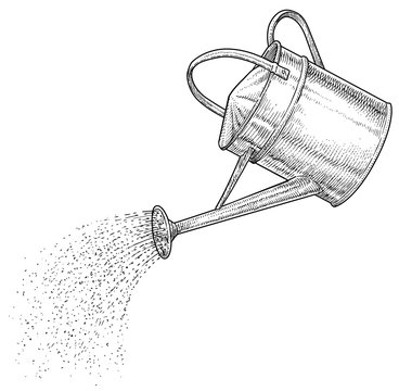 Watering can illustration, drawing, engraving, ink, line art, vector