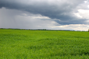 Obraz premium It’s clouded, then it’s raining. At Russia country