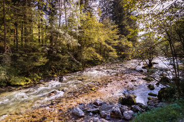 Obraz premium Bled Castle and it's orange roofs. Medieval castle built from stone on a precipice above the Lake Bled in Slovenia