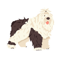 Cute big dog Bobtail. Animal flat vector illustration. Long haired breed pet grooming fan. Good for online stickers, guide, manual, encyclopedia.