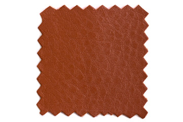 Shred of factory leather for the manufacture of accessories and various products Isolated on a white background. Cut brown leather sample for familiarization and sewing of upholstered furniture.